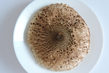 Parasol mushroom cap on a white plate, top view