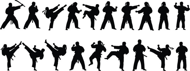 Martial arts silhouette set featuring karate fighters in combat poses, high kicks, punching, and defensive stances for sports training or competition designs. © Monira