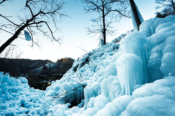 氷の芸術　あしがくぼの氷柱
