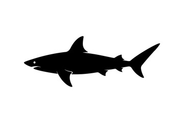 shark isolated on white
