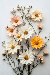 Obraz premium Minimalist flat lay of delicate pastel cosmos flowers