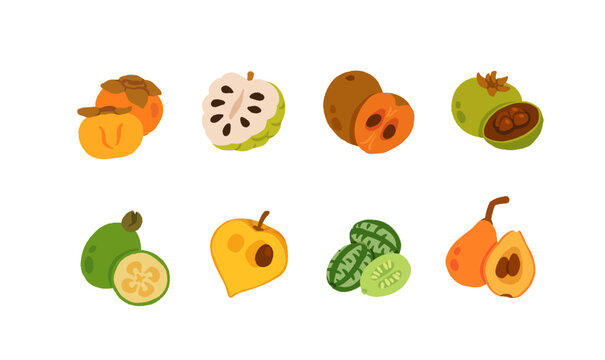 Exotic, tropical, rare and Common Fruits Collection. Flat cartoon Vector Set of fruits on white isolated background.