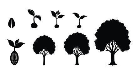 Obraz premium Plant growth stages illustrated with simple black silhouettes