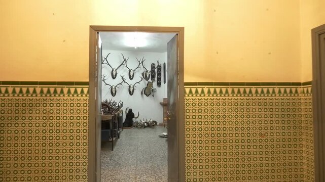 Interior shot with a Steadicam upon entering a taxidermy studio. Numerous deer antlers, taxidermied animal heads, and hunting trophies are displayed on the walls. The setting is rustic and artisanal.