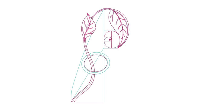 Plant Growth and Leaves Designed with Fibonacci Golden Ratio Spiral. Outline Vector of Nature, Mathematics, and Sacred Geometry.