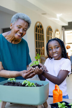 Senior and youth African American women planting seedling in bright sunroom, holding green planter