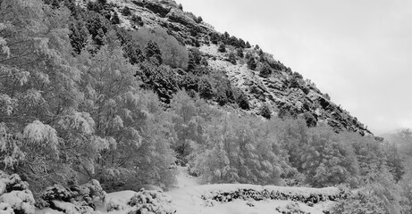 snowy mountain landscape