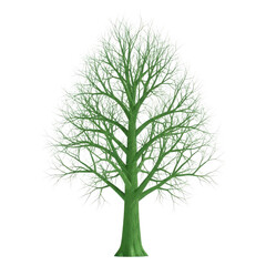 Green deciduous tree with bare branches isolated on transparent background