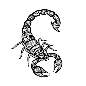Intricate black and white drawing of a scorpion with detailed geometric patterns, presented in a tribal or zentangle art style.