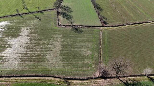 Waterlogged crop field in the Po Valley, Italy, where standing water after heavy rainfall reveals poor drainage, soil compaction from intensive farming,&nbsp;water management challenges, top down aerial