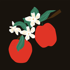 Red apples with blooming white flowers on a branch, illustrated in flat modern style on dark background. Decorative botanical fruit vector ideal for food branding, labels and seasonal designs.