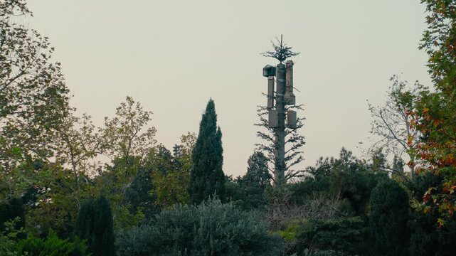 Artificial  bird nest in outdoor urban park area