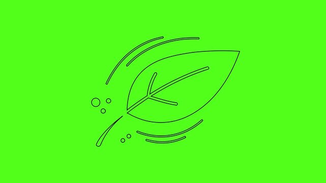 Green Leaf Wind Air Quality Vector Line Art Icon Animation Green Screen