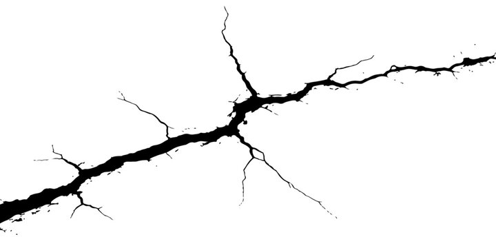 A black vector design illustration of a dangerous crack in the ground and wall featuring a splash of nature with a tree branch and plant against a paper sky