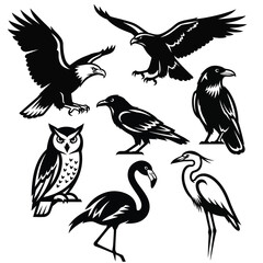 Fototapeta premium Collection of various birds in black silhouettes flying and standing