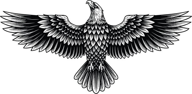 Detailed Hand Drawn Illustration of a Majestic Bald Eagle with Spread Wings Isolated on White Background for Patriotic Logo and Vintage Tattoo Design