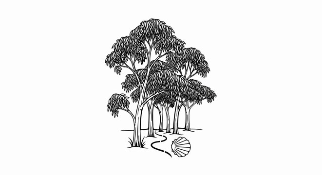 A stylized drawing of eucalyptus trees lining a winding path with a scallop shell