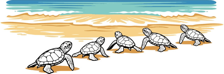 Baby sea turtles crawl towards the ocean on a sandy beach under a blue sky