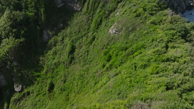 Aerial shot of Snake Island (Brazil)
