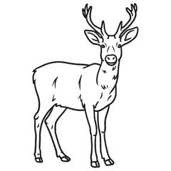 Fototapeta premium Wildlife Charcoal Deer Line Art Illustration, Hand Drawn Stag Sketch