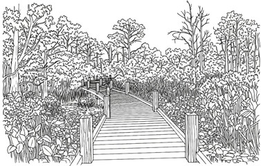 A wooden boardwalk winds through a lush, dense swamp filled with trees and vegetation