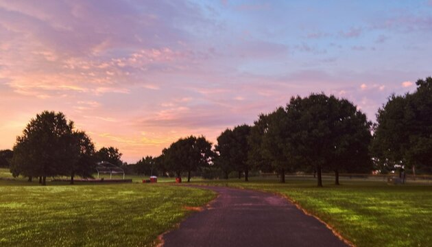 sunset in the park
