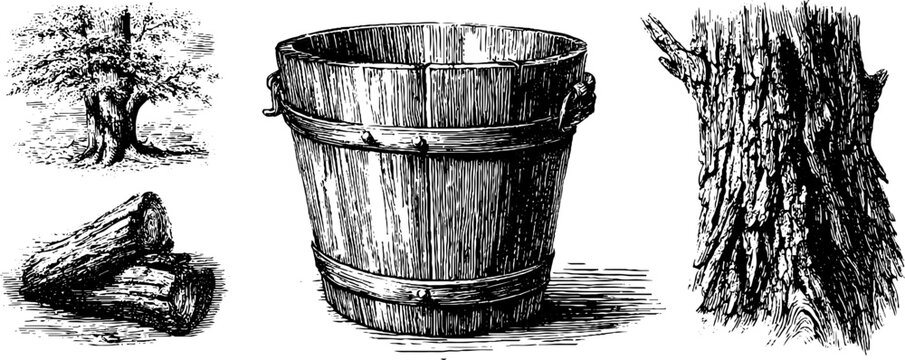 Vintage maple syrup collection set featuring wooden bucket and tree details for design and print