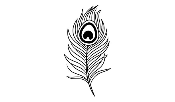 Stylized peacock feather line art vector with decorative eye design