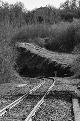 railway in the forest