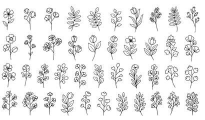 Modern botanical flower silhouettes and leafy branches minimal outline vector pack
