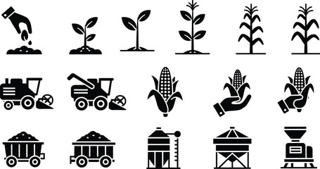 Fototapeta premium Agriculture and farming process from planting to harvesting and storage. 