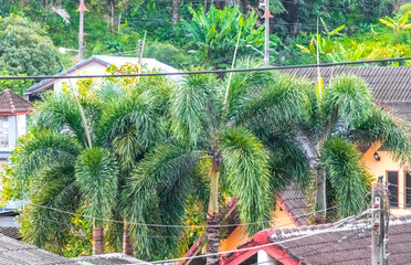 Modern buildings hotel resort apartments tropical paradise palm trees in Thailand.