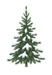 Fototapeta premium Detailed watercolor painting of a solitary conical fir tree, deep green needles contrasted by fluffy white snow, soft grey shadow, on a stark white backdrop. Concept of minimalist winter peace