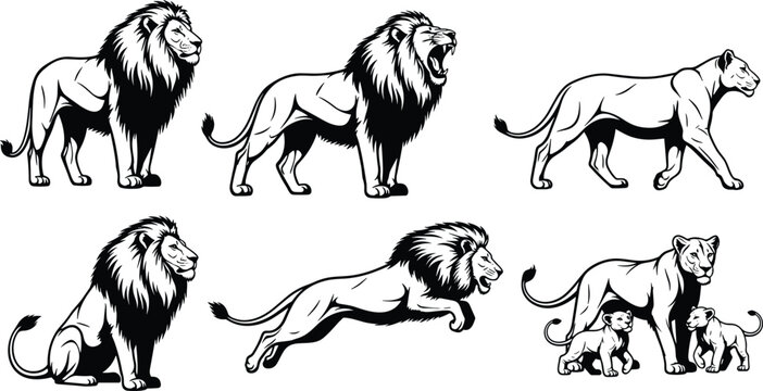 Lion silhouette vector set including male lion roaring leaping sitting and standing with lioness and cute cubs for safari wildlife design,