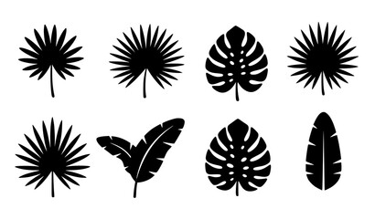 Black tropical palm and banana leaves vector collection with minimal botanical silhouettes