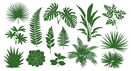 Various tropical green plant and leaf silhouettes on white