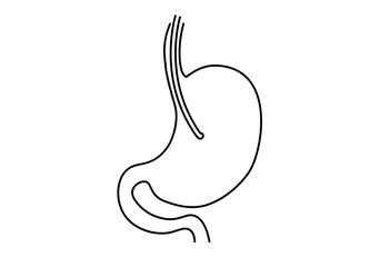 Simple Stomach Anatomy Line Art Illustration for Medical Education and Gastroenterology Healthcare Content