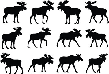 Fototapeta premium Moose Silhouette Collection Set of Walking Elk Deer Isolated on White Background Wildlife Animal Vector Illustration Bundle