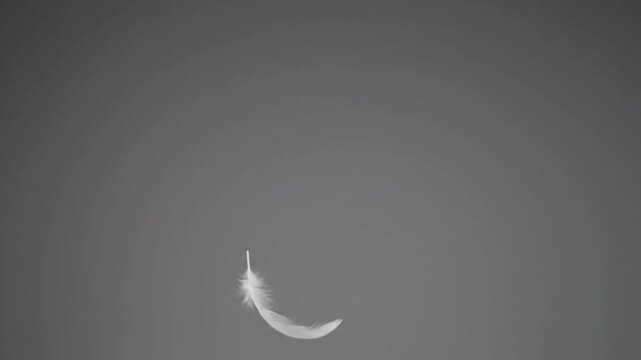 A single white feather gently falling and floating against a plain grey background.