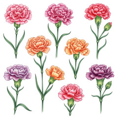 Vibrant bouquet of colorful flowers arranged in a cheerful display isolated on transparent background