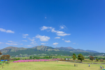 Obraz premium 阿蘇五岳を背景に咲き誇るコスモスの花 「深呼吸の数だけ、心が洗われる。世界が認めた、阿蘇のパノラマをあなたへ。」 南阿蘇村(あそ望の郷くぎの) Cosmos flowers blooming against the backdrop of the five peaks of Mt. Aso.