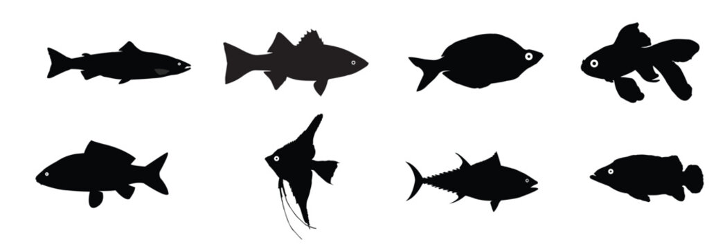  fish silhouette set fish vector silhouette