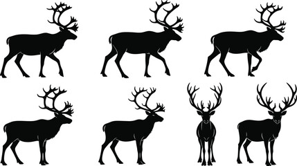 Wild reindeer silhouettes set, arctic deer with large antlers in various walking and standing poses, winter forest animal vector illustration for holiday design © MstBeauti