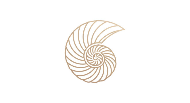 Elegant Nautilus Shell Spiral Pattern on White Background.