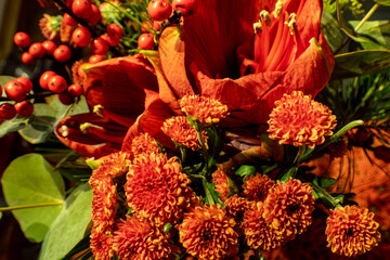 Chrysanthemums, amaryllis and holly berries as a beautiful bouquet of flowers