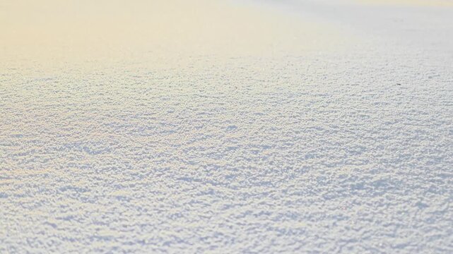 A vast expanse of untouched snow covers the ground, creating a serene winter landscape. The soft texture of the snow reflects light, enhancing the peaceful atmosphere.
