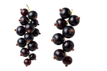 black currant isolated on white background