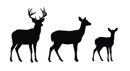 Silhouette of a stag doe and fawn standing together © Mama