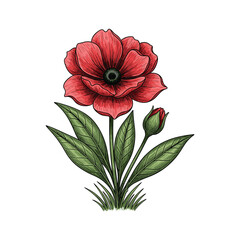 A red flower with green leaves on a white background Vector