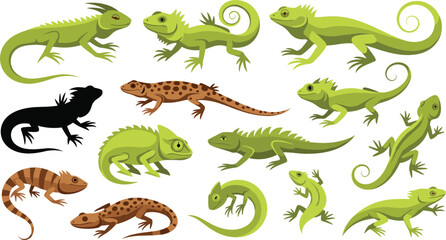 Fototapeta premium Lizard and Gecko Illustration Set with Different Reptile Species, Green and Brown Lizards, and Cartoon Style Wildlife Characters for Educational and Nature Design Projects
